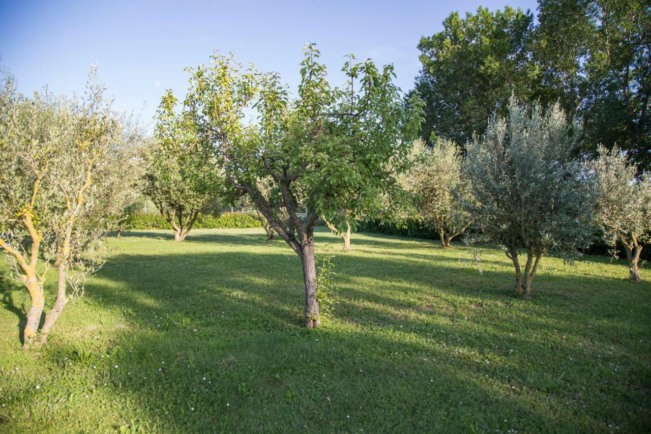 몬테라도 Il Casale Di Nonno Guido B&B 외부 사진