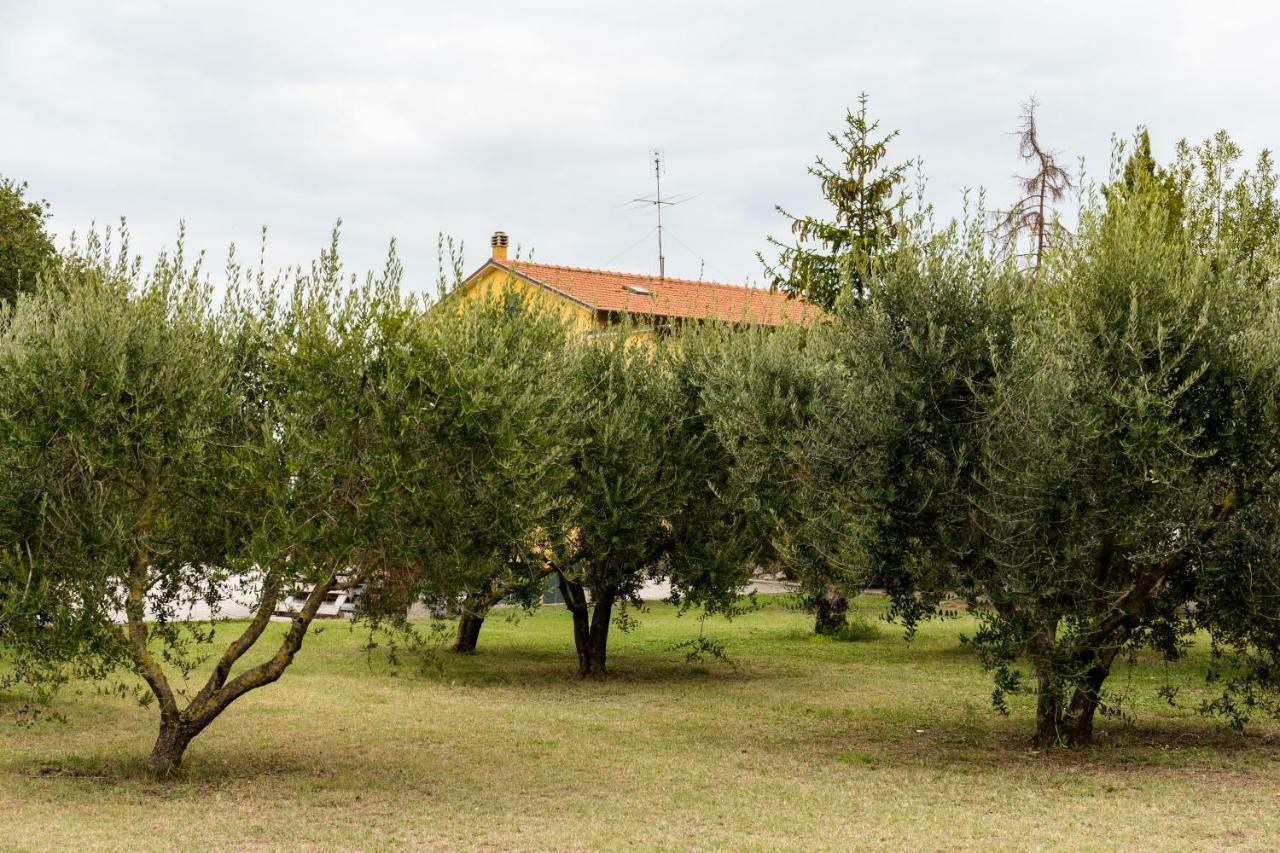 몬테라도 Il Casale Di Nonno Guido B&B 외부 사진