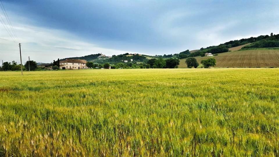 몬테라도 Il Casale Di Nonno Guido B&B 외부 사진